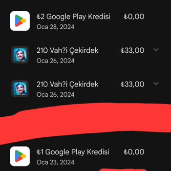 Riot Games 3000 TL Yatırdığım Wild Rift Hesabıma Erişemiyorum.