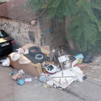 Kağıthane Belediyesi Gürsel Mah. Binnaz Sokaktaki Kangren Olmuş Durumdaki Çöp Problemi
