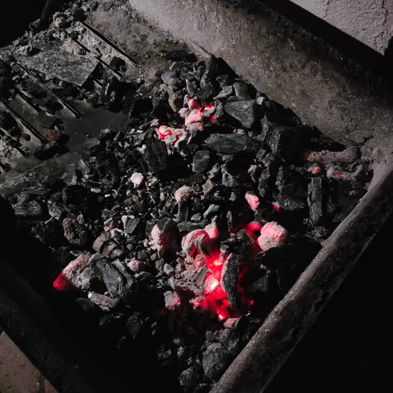 Bio Mangal Pişmanlıktır Kamu Spotu