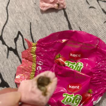 Kent Şeker İçinden Böcek Çıktı.