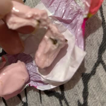 Kent Şeker İçinden Böcek Çıktı.