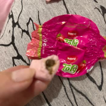 Kent Şeker İçinden Böcek Çıktı.