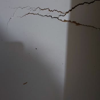 Lajivert Ten Aldığım Baza 2. Gününde Kırıldı Çok Kalitesiz