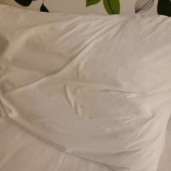 Rox Royal Hotel Böyle 5 Yıldızlı Otel Olmaz