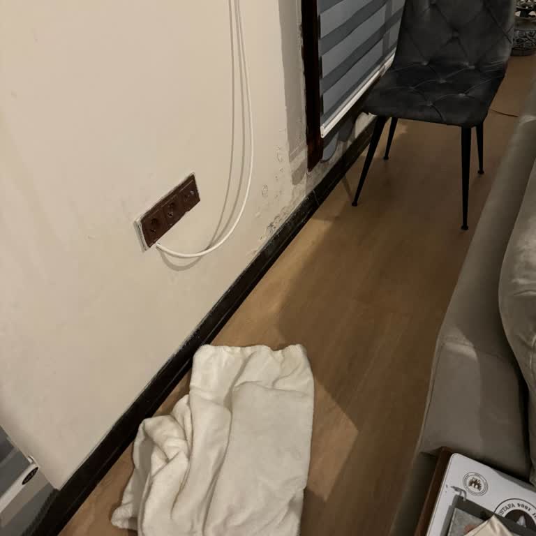 Daikin Stylish Air Conditioner Installation Disaster , Water Leak and Poor Service