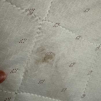 Montessori İstanbul İşçilik Çok Kötü, Firma İlgisiz!