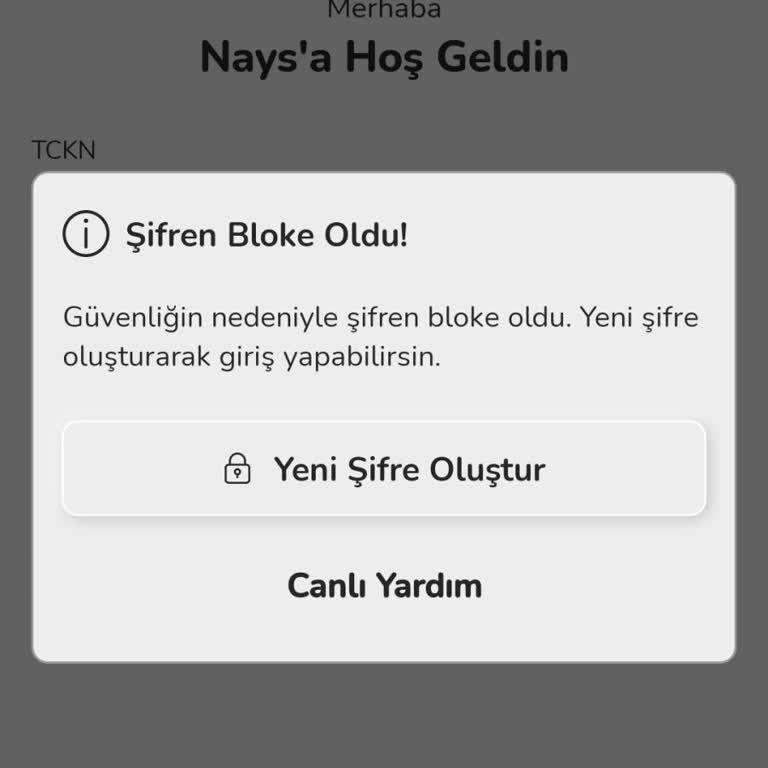 Nays Uygulaması Güvenlik Sorunu