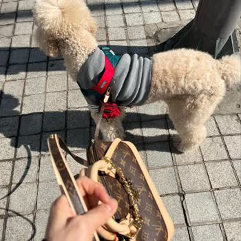 M.kwealth.vip M. Kwealth Vip Aldatma