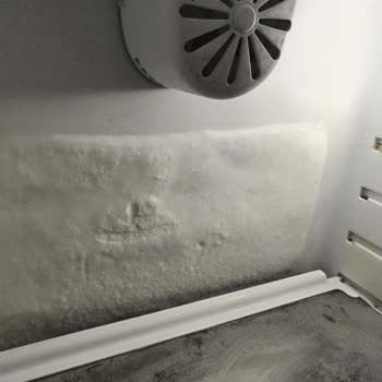 Vestel Finlux Buzdolabında Sürekli Çalışma Ve Karlanma Sorunu