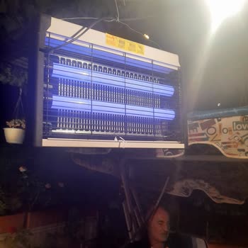 Marmaraereğlisi Belediyesi Sivrisinek İlaçlama Yapılmıyor