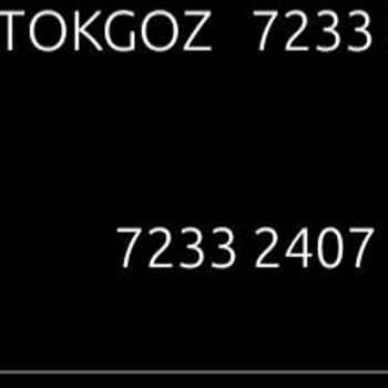 Temu Fazla Para Çekiyor