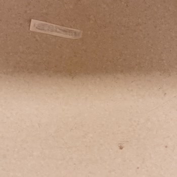 Medicana Bursa Acildeki İlgisizlik