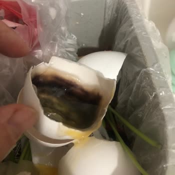 Ankara Eryaman Gimsa AVM