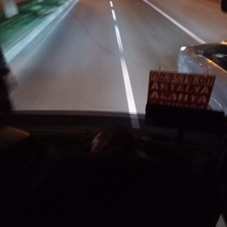 Alanyalılar Turizm Alanyalılar Şirketinden Şikayetim Var