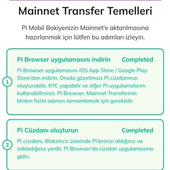 Pi Network 9 Numara Onaylanmadı
