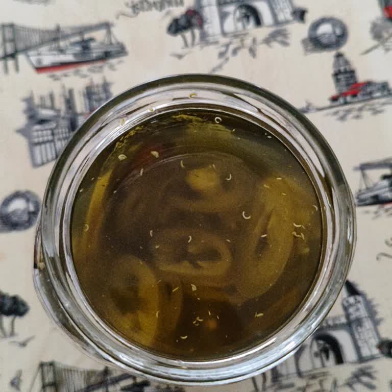 Kühne 2026 SKT Kurtlu Turşu