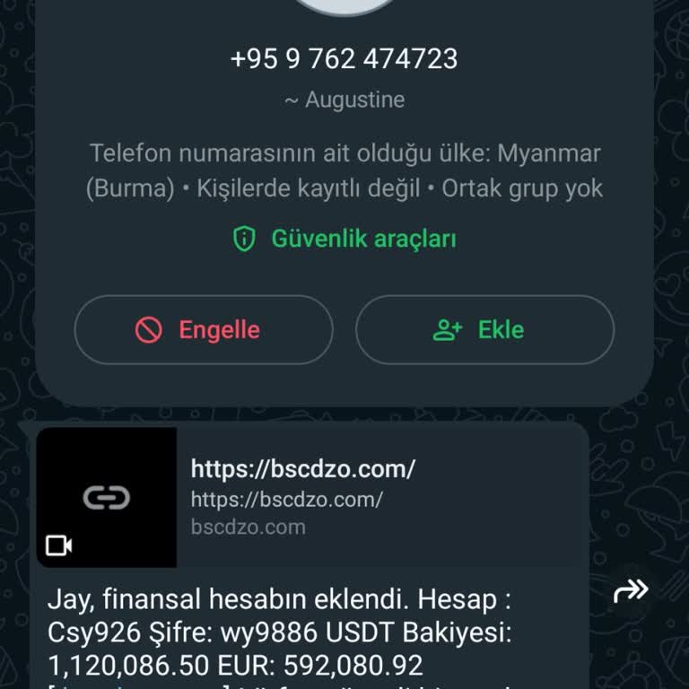 WhatsApp Ne Oluyor