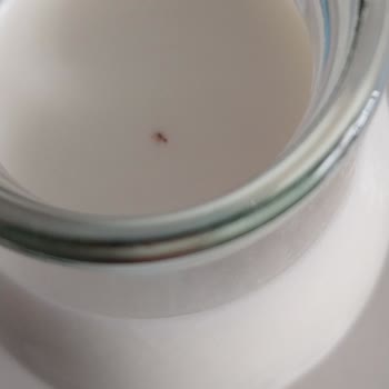 AOÇ Firmasi Şikayet