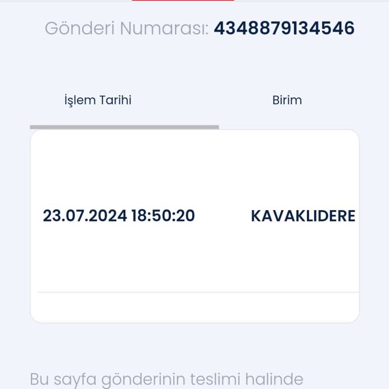 Aras Kargo Pasaport Teslim Edilmedi