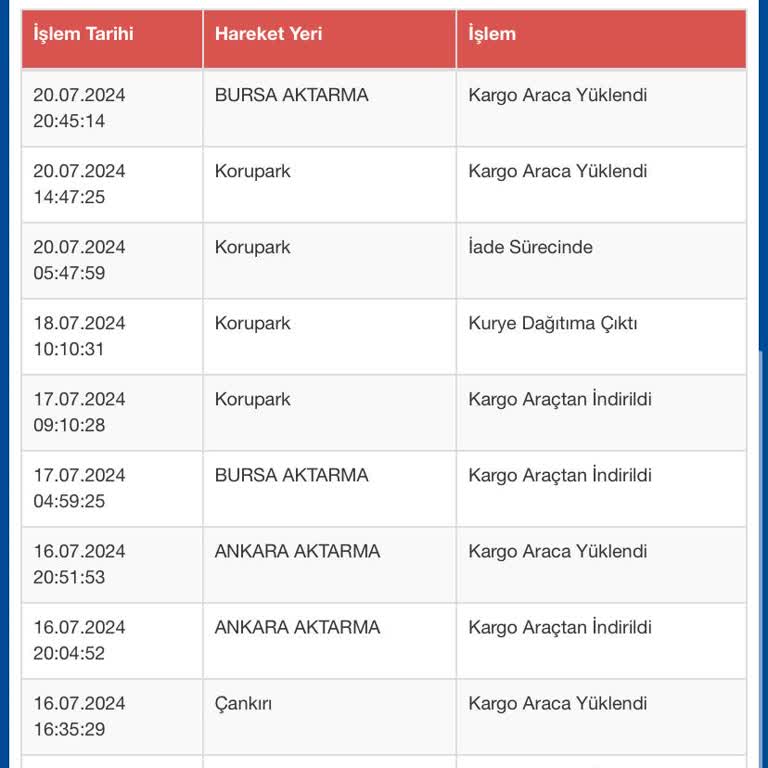 Sürat Kargo Sanırım Kargomu Kaybetti