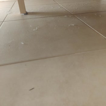 Rio Budva Mağduriyeti