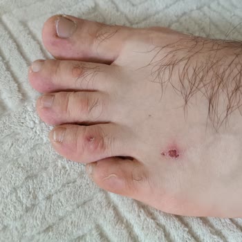 FLO Ayakkabı FLO Yetkililerini Sorun Çözmeye Davet Ediyorum