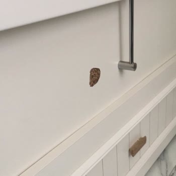 Almila Mobilya Pişmanlığı, 4 Aydır Kurulamayan Bebek Odası!