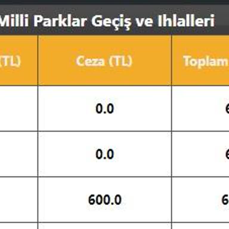 HGS Milli Park Geçiş Ücret Bilgi Verilmeden Ceza Yazılması