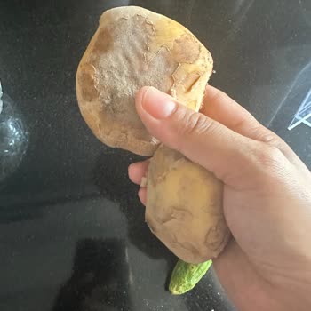 Migros'ta. Çürük Sebzeler