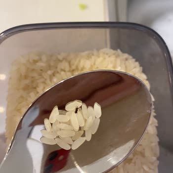 Duru Baldo Pirinç Böcekli