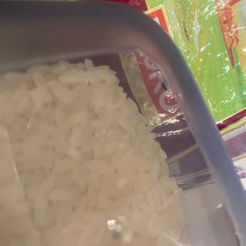 Duru Baldo Pirinç Böcekli