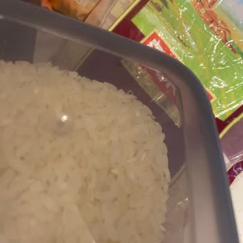 Duru Baldo Pirinç Böcekli