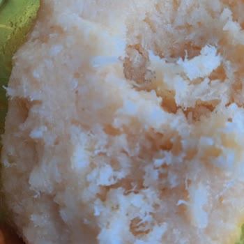 Peysan Peynir Helvası Şikayeti