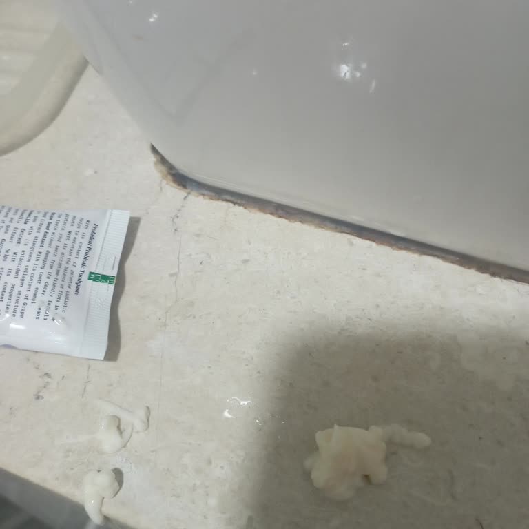 Probident Dış Macunu Tüpü Sağlam Değil