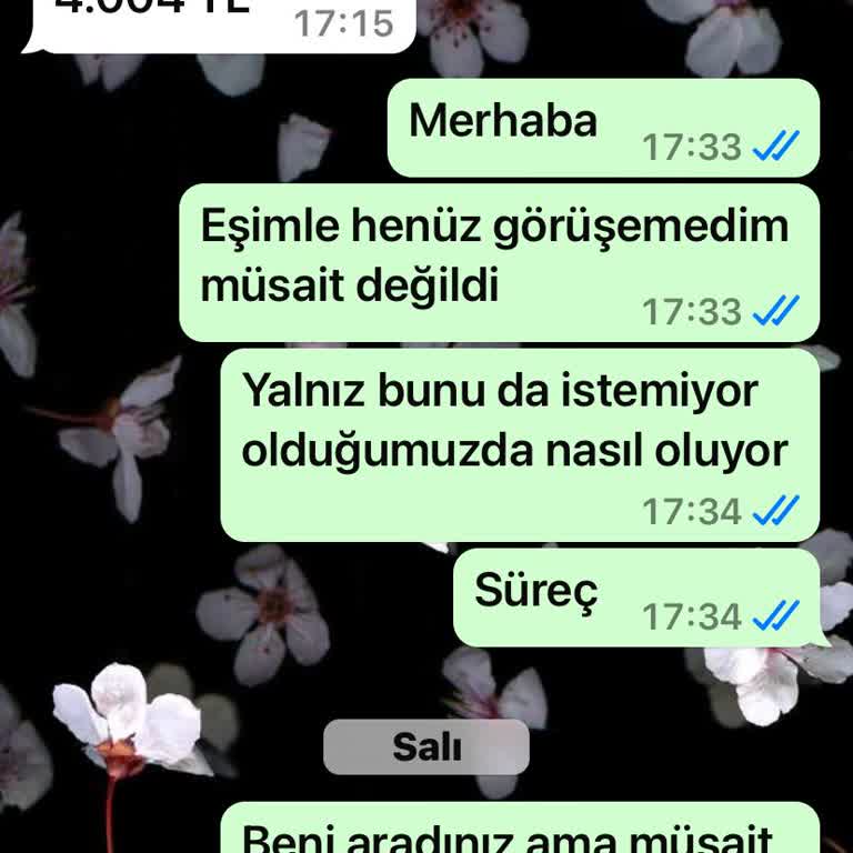 Vestel Kazanlı Ütü Bozulması Ve Parçalarının Olmaması