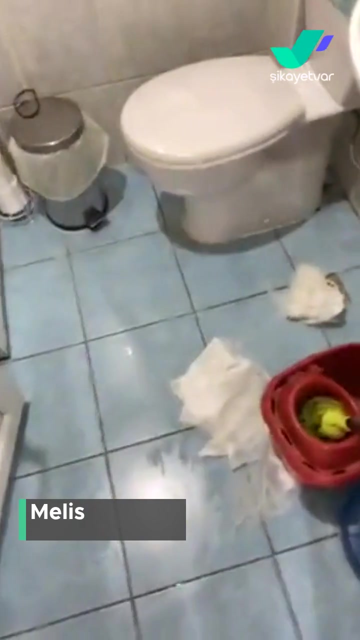 İSU'ya Şikayet Günlerdir Tuvaleti Su Basıyor! videonun kapak resmi
