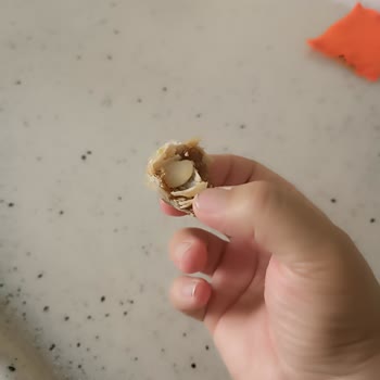 Tuğba Kuruyemiş Hediyelik Lokum Da Kurtçuk Ve Böcek Çıktı