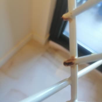 Hotpoint Indesit Bulaşık Makinesi Pas Oluşumu