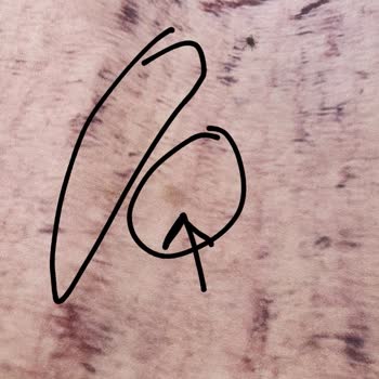 Deren Halı ve Koltuk Yıkama (Antalya) Antalya'da Halı Yıkama Hizmeti Sorunları