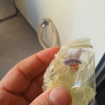 Deren Halı ve Koltuk Yıkama (Antalya) Antalya'da Halı Yıkama Hizmeti Sorunları