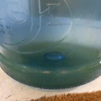 Koruması Hiç Açılmamış Gecek Su Yeşillenme/sararma/bulanıklaşma