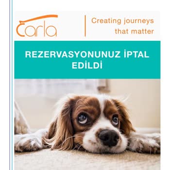 Carla Car Rental Carla Rent Carla