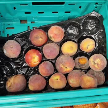 Şok Marketler Bozulmuş Manav Reyonları