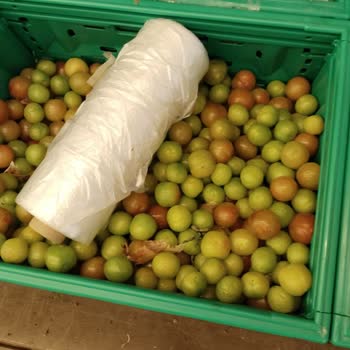 Şok Marketler Bozulmuş Manav Reyonları