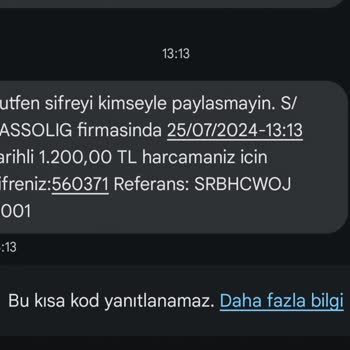 Hesabımdan Para Çekilmesine Rağmen Passolig Banka Kartımda Gözükmüyor!