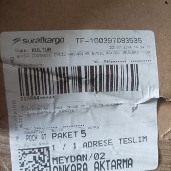 Sürat Kargo Gelen Kargoyu Şubede Bekletiyor Yaş Kedi Maması
