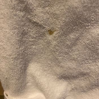 The X Belek Güvenlik Ve Yemek