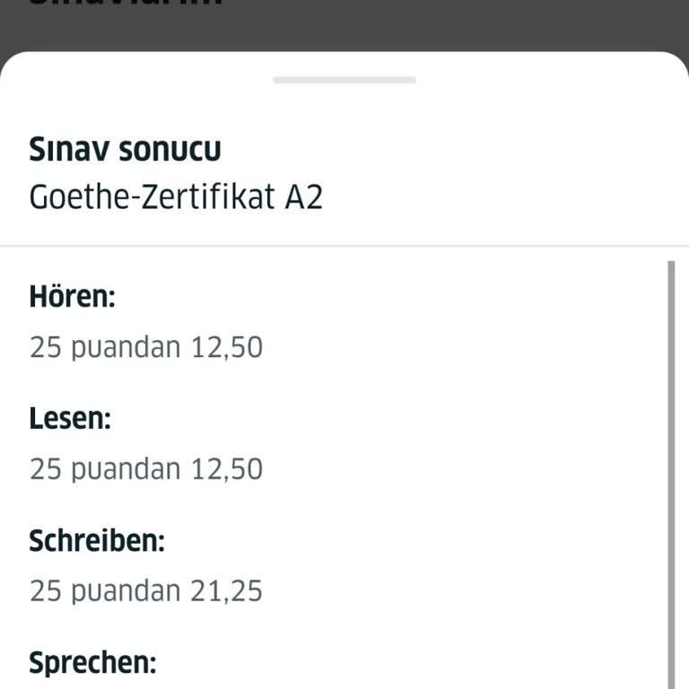 Goethe Institut 1 Puanla Sınavda Bırakma