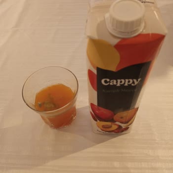 Cappy Meyve Suyu İçecek