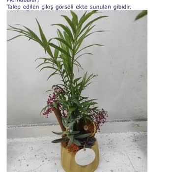 Taze Çiçek Bire Bir Aynı Olmayan Ürün Gönderiyor